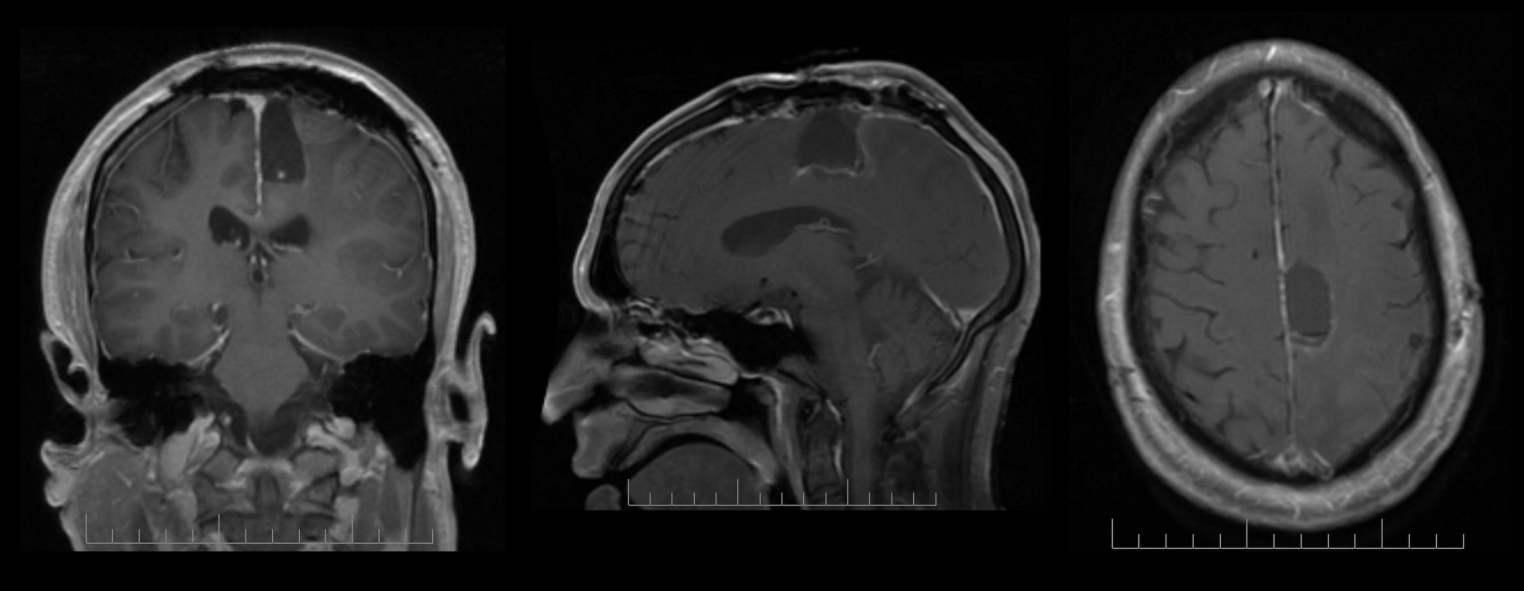 article Images